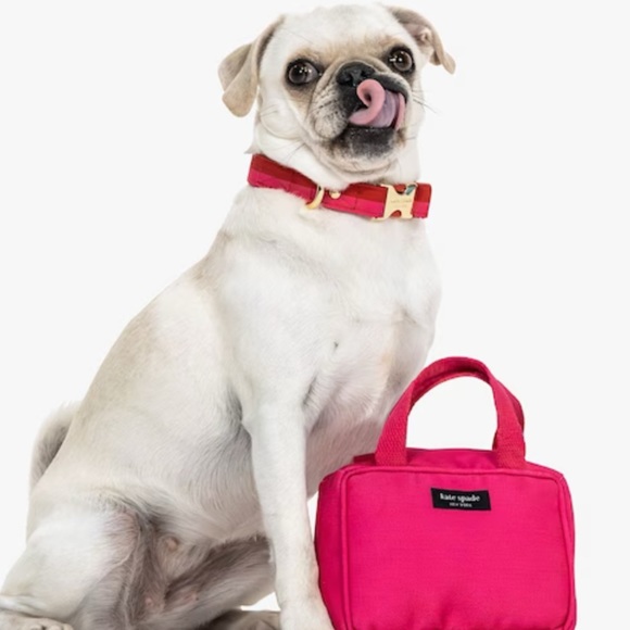 Kate Spade Hot Pink chew toy with squeaker 6"x4" never used- in original bag NWT - Picture 3 of 11